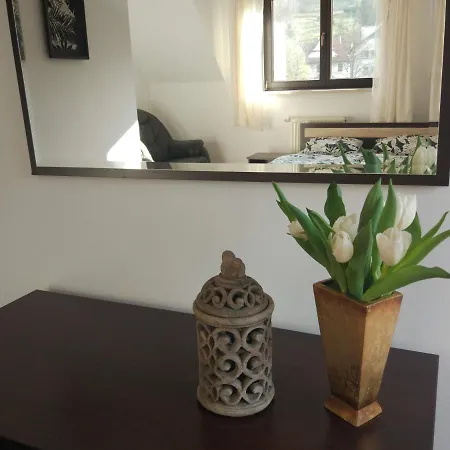 Dom W Górach Muszyna